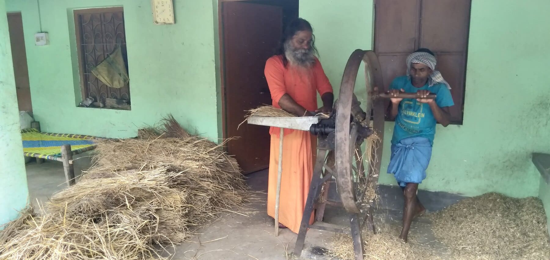 Fodder preparation by hand Farm workers preparing cattle fodder by hand at Ánanda Nagar